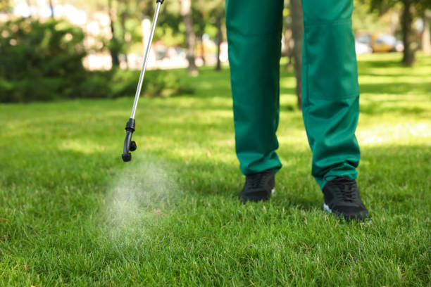Bird Control in Summerville, SC