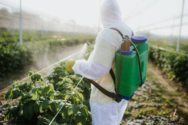 Best Ant Control Services  in Summerville, SC